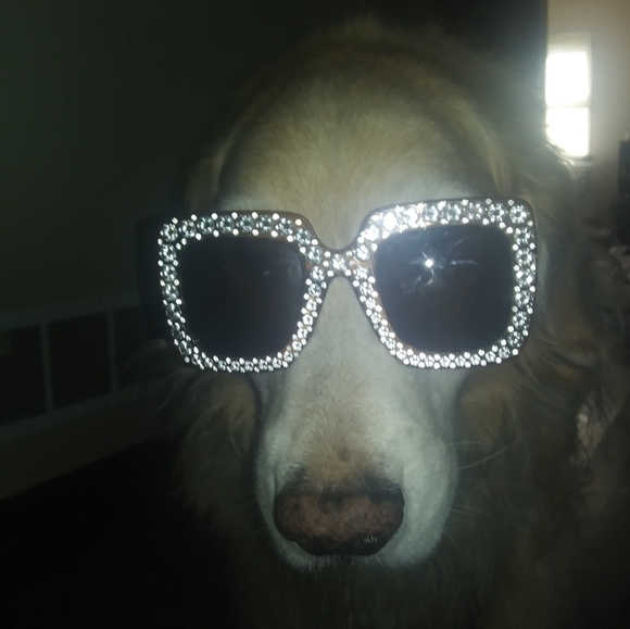 Meet your Posher, Lee -   ✌ - Picture 2 of 7